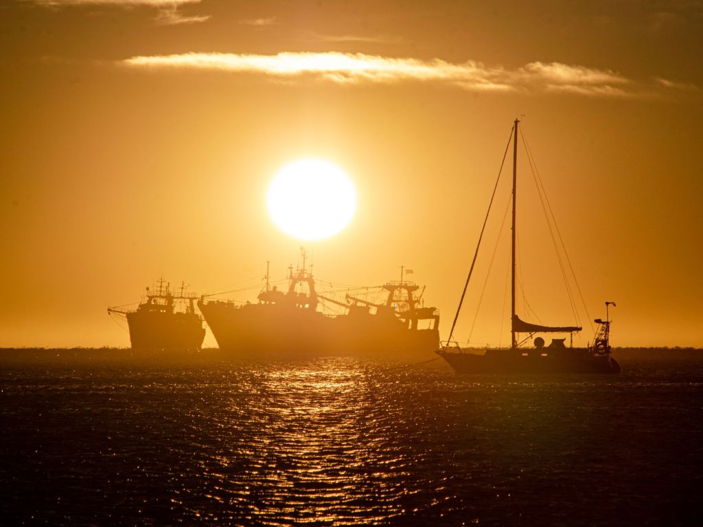 Sea Fresh pasa a Aisa Group: canadienses ingresan en la industria pesquera