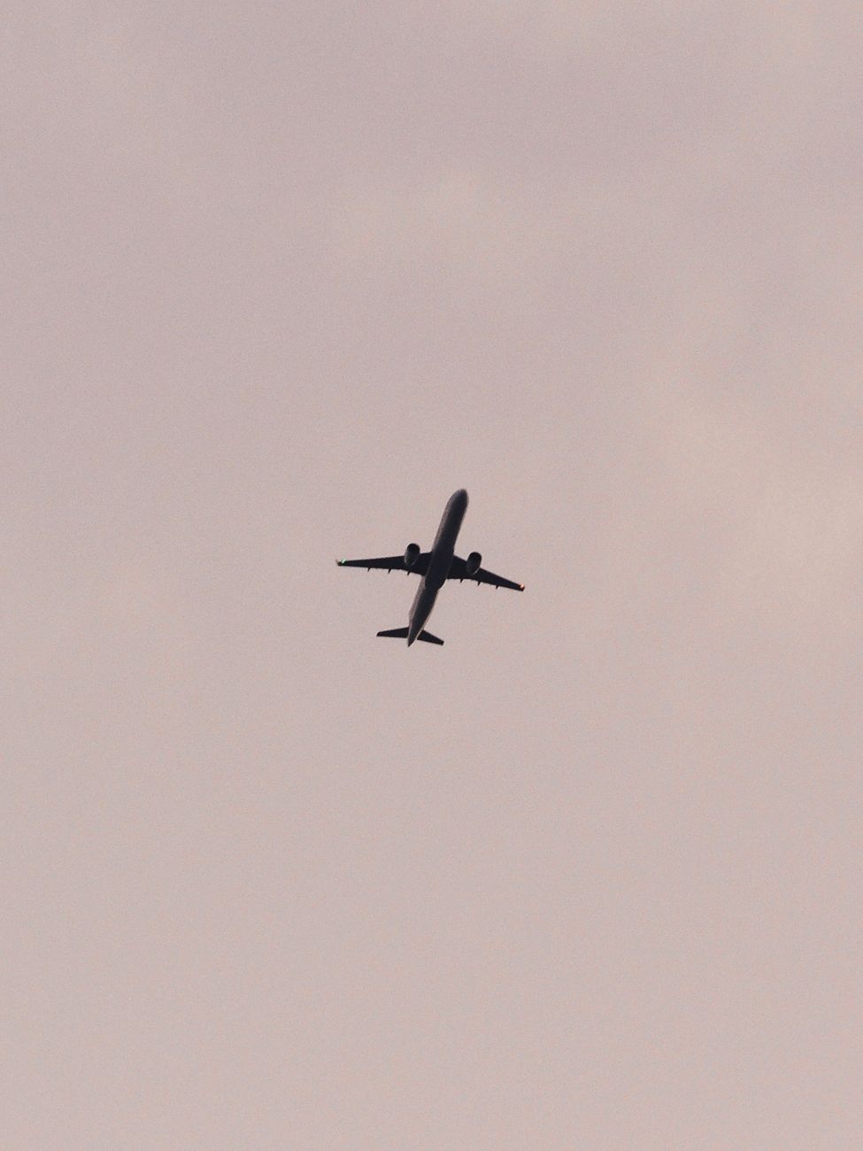 Aerofobia: el miedo que va más allá de los nervios previos al&nbsp;vuelo