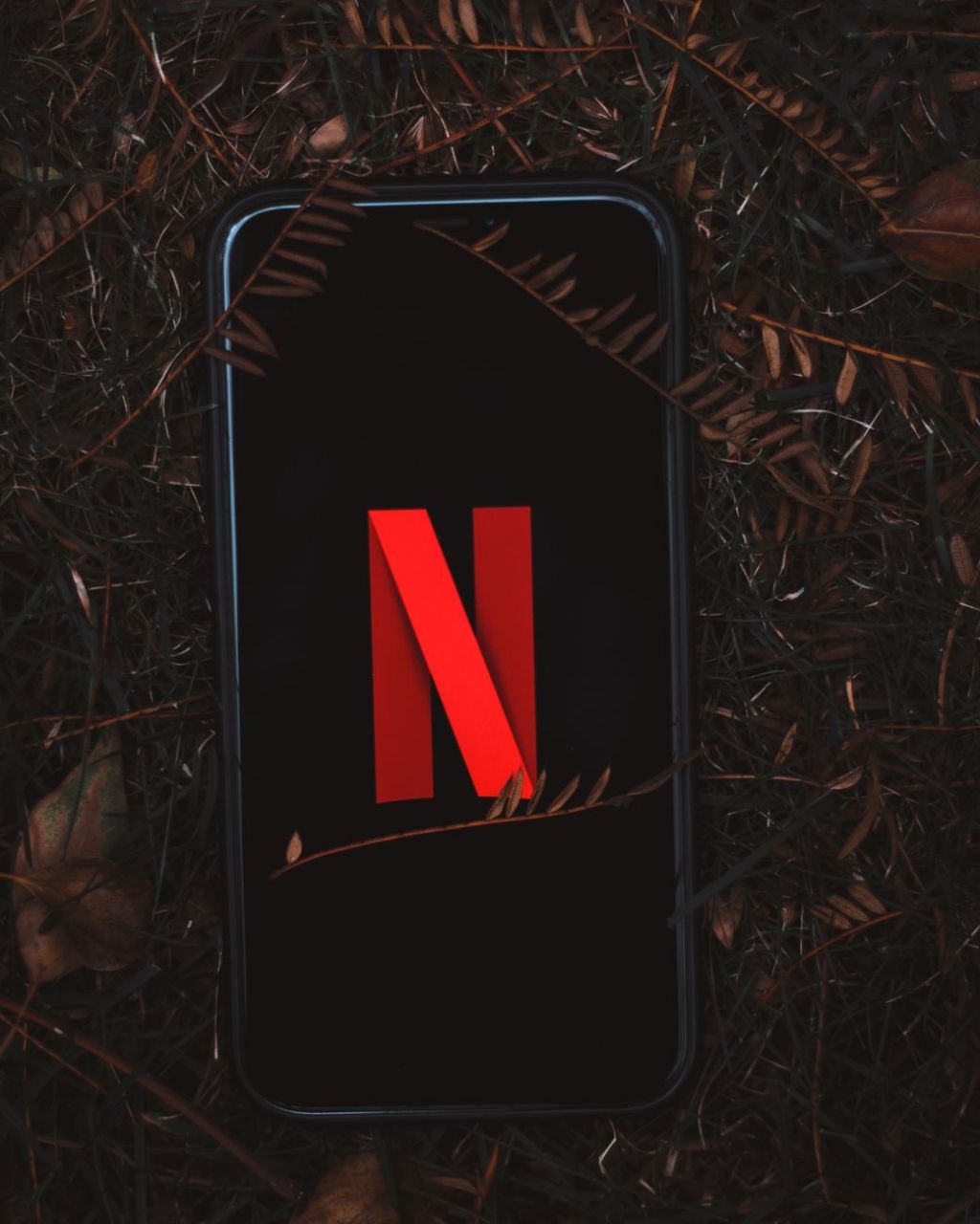Netflix estrena en agosto miniserie «Mi brillante carrera» de producción&nbsp;australiana