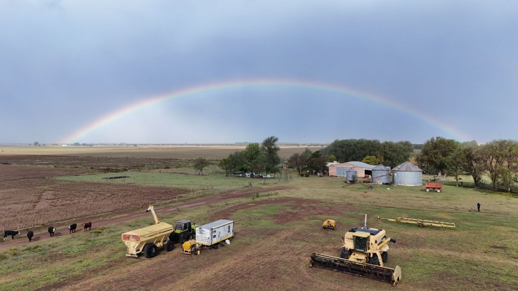Sector agropecuario lidera con crecimiento exportador de&nbsp;128%