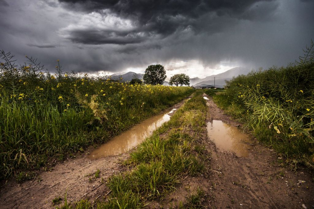 El Niño: lluvias y calores desafían el modelo agrícola&nbsp;tradicional