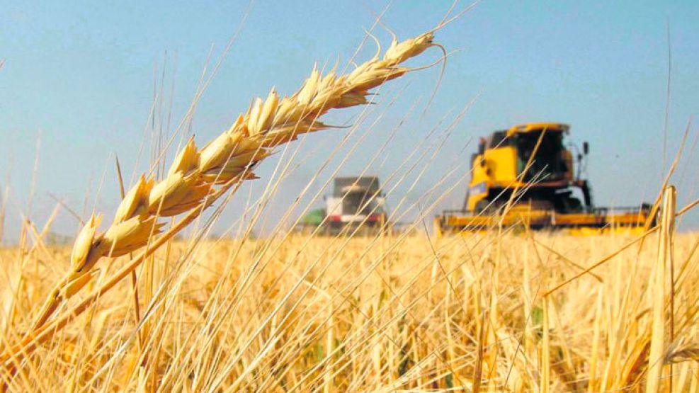 Inversión de USD 7 millones en el agro argentino: una empresa ampliará su planta para duplicar la&nbsp;producción